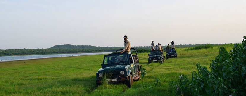 jeep safari pench